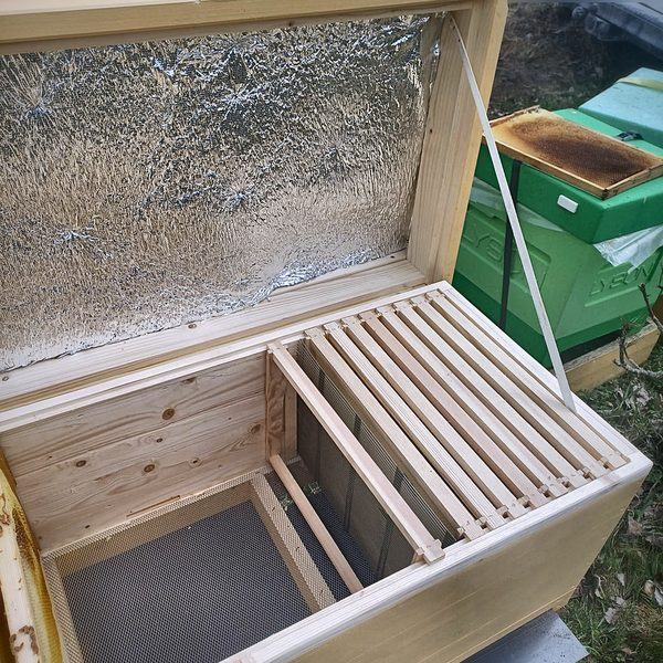 Beehive — inside with frames