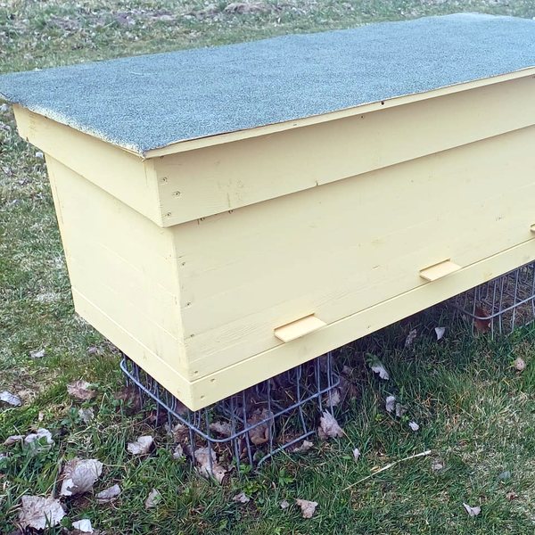 Beehive in the apiary