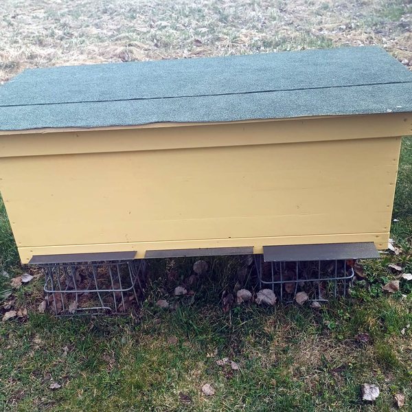 Wooden beehive with a roof — our work